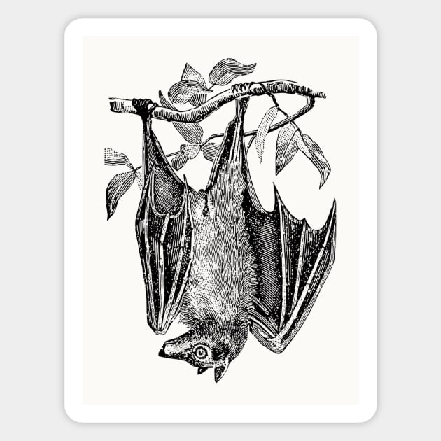 Upside Down Bat Magnet by Vintage Sketches